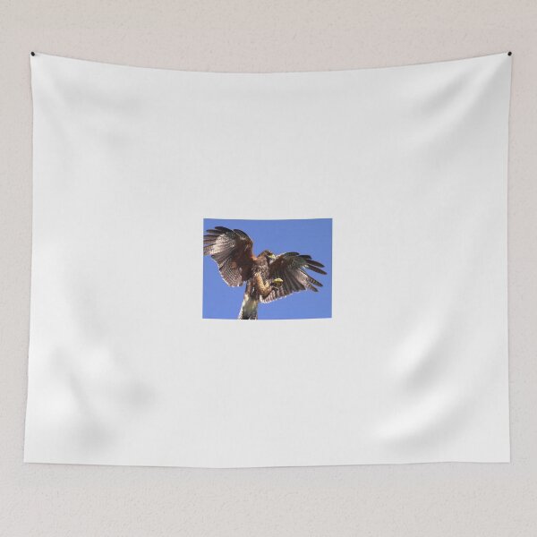 Item preview, Harris Hawk designed and sold by SWEEPER.