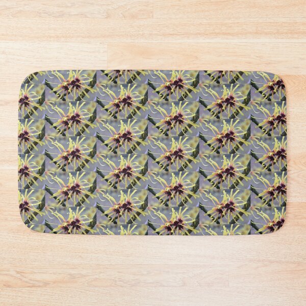 Item preview, Witch Hazel (Hamamelis sp.) in flower designed and sold by Chris Monks.