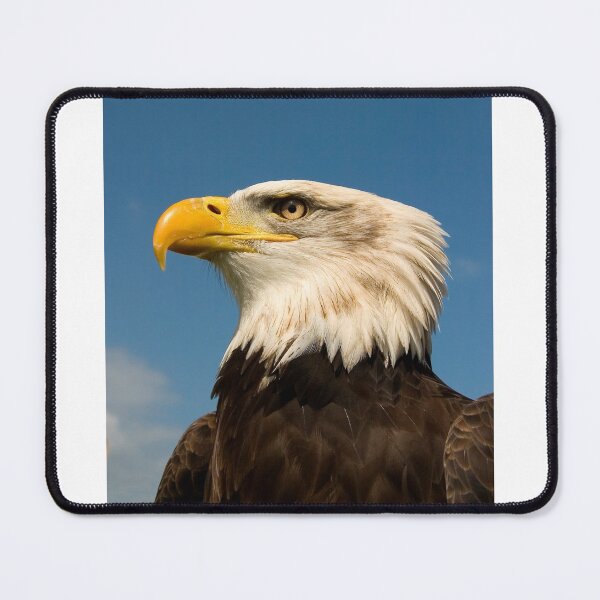 Item preview, Arrogant Eagle designed and sold by SWEEPER.
