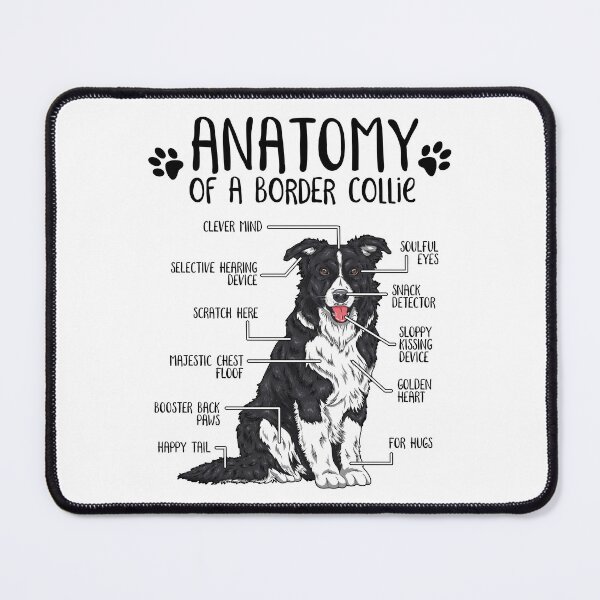 Item preview, Lustige Border Collie Anatomie Hundebesitzer Hundeliebhaber designed and sold by lanynx design.
