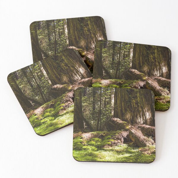 Item preview, Redwood scene in Northern California designed and sold by OrcaNature.