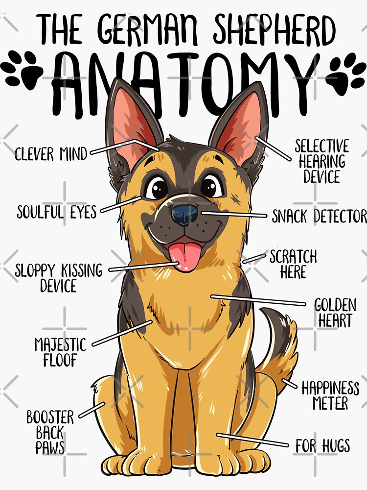 Slap-Art German Shepherd Decal - "You May Get In But You Won't Get Out" Funny Vinyl Sticker