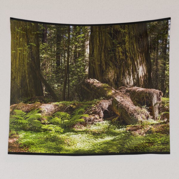Item preview, Redwood scene in Northern California designed and sold by OrcaNature.