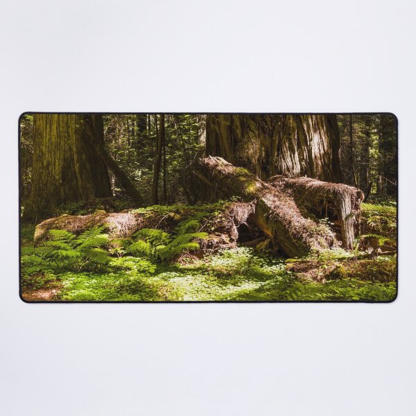 Item preview, Redwood scene in Northern California designed and sold by OrcaNature.
