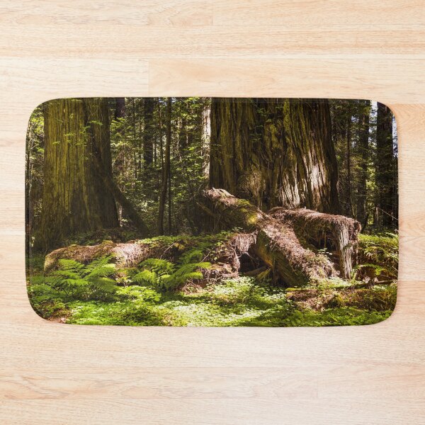 Item preview, Redwood scene in Northern California designed and sold by OrcaNature.
