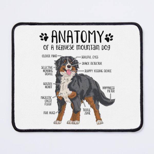 Bernese mountain dog store merchandise