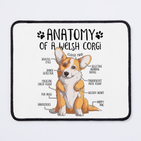 Vista previa del artículo con la obra «Divertido perro Corgi galés Anatomía Dueño de perro Amante de perros», diseñado y vendido por lanynx design.