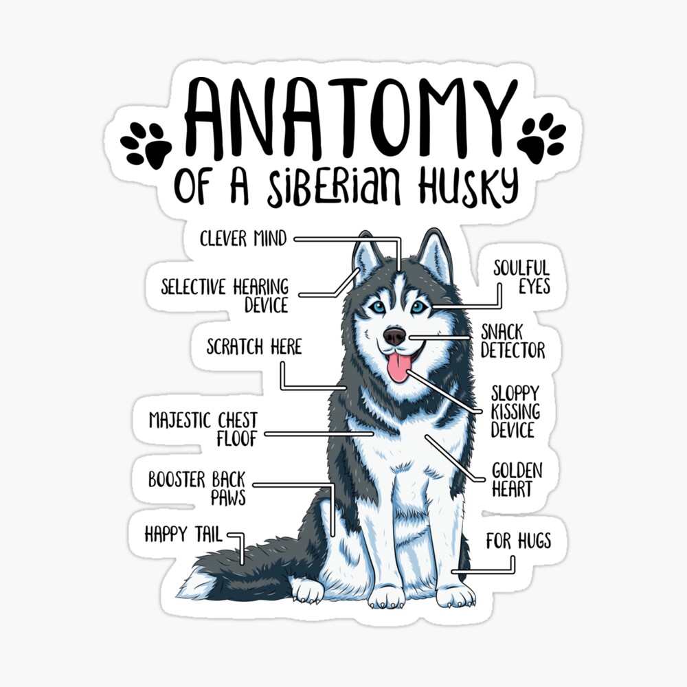 Huskies funny best sale