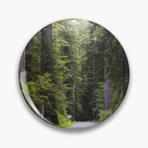 Item preview, Redwood National and State Parks on U.S. 101 in Northern California designed and sold by OrcaNature.