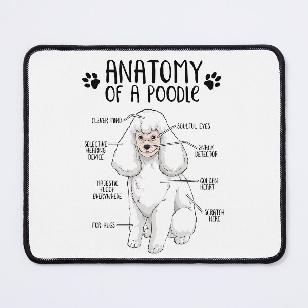 Item preview, Funny Poodle Anatomy Dog Owner Dog Lover designed and sold by lanynx design.