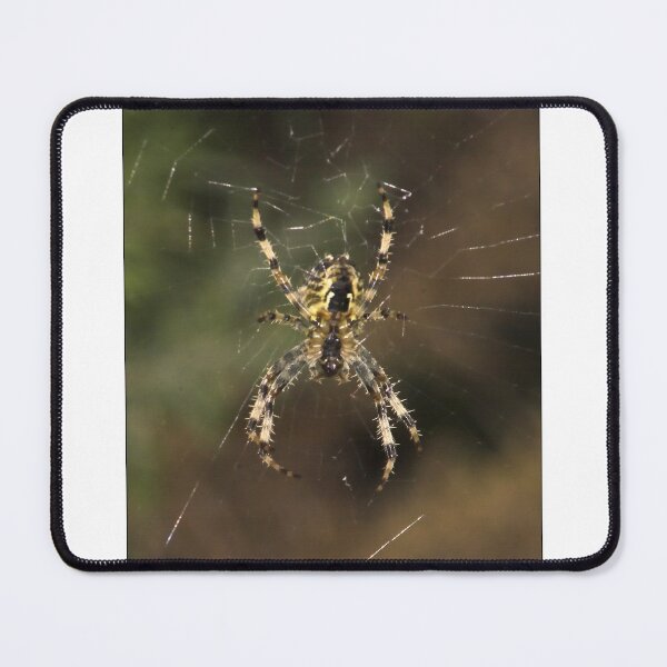 Item preview, Garden Spider designed and sold by SWEEPER.