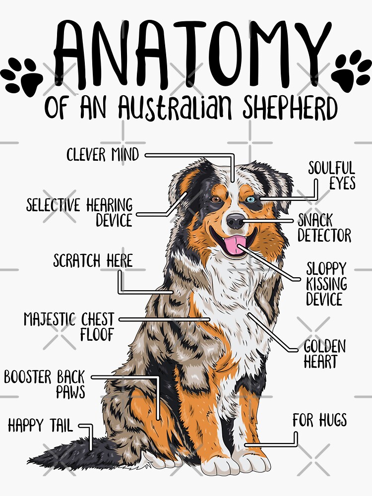 Gifts for shop australian shepherd lovers