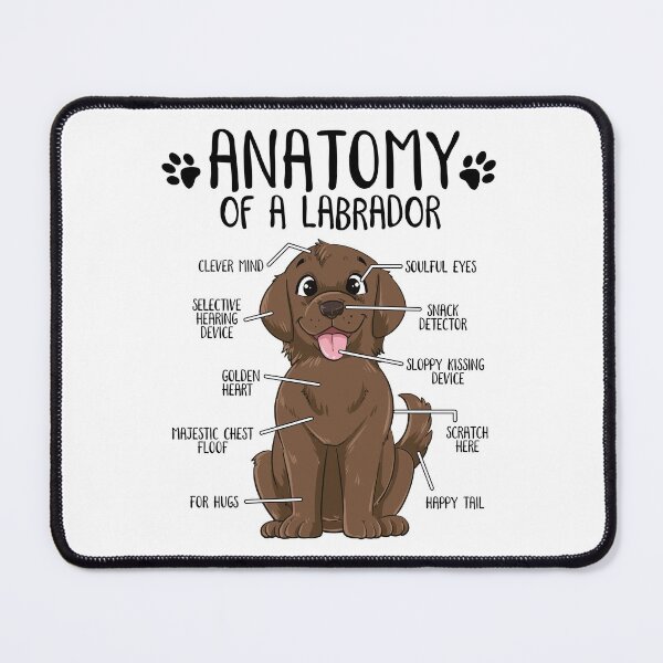 Item preview, Funny Chocolate Labrador Dog Anatomy Dog Lover designed and sold by lanynx design.