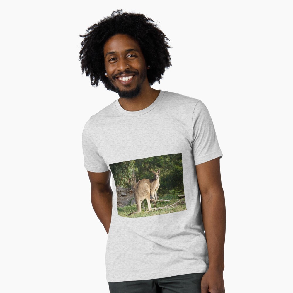 Item preview, Tri-blend T-Shirt designed and sold by MagpieSprings.