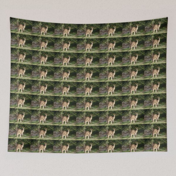 Item preview, Kangaroo by Adelaide Artist Avril Thomas at Magpie Springs designed and sold by MagpieSprings.