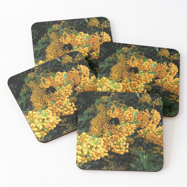 Item preview, Pyracantha Berries designed and sold by lezvee.