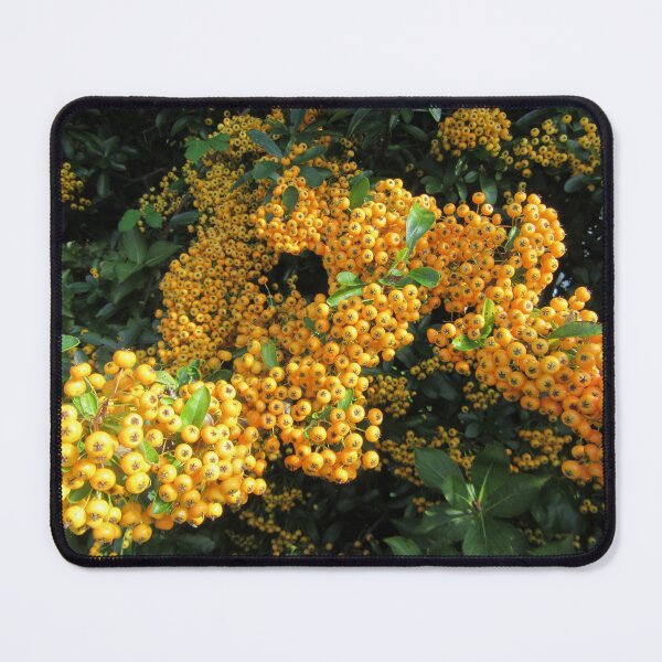 Item preview, Pyracantha Berries designed and sold by lezvee.