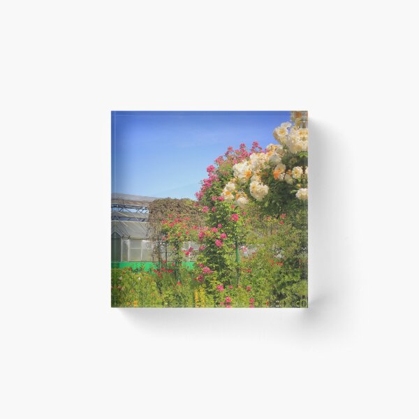 Aperçu de l'œuvre Giverny, Jardins, Maison de Monet, France créée et vendue par ExploreOutdoors.