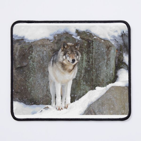 Item preview, Timber Wolf designed and sold by James Cumming.