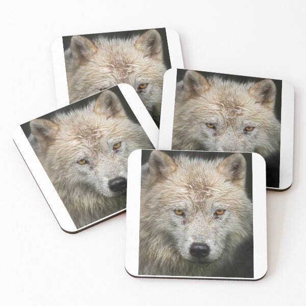 Item preview, Arctic wolf closeup designed and sold by James Cumming.