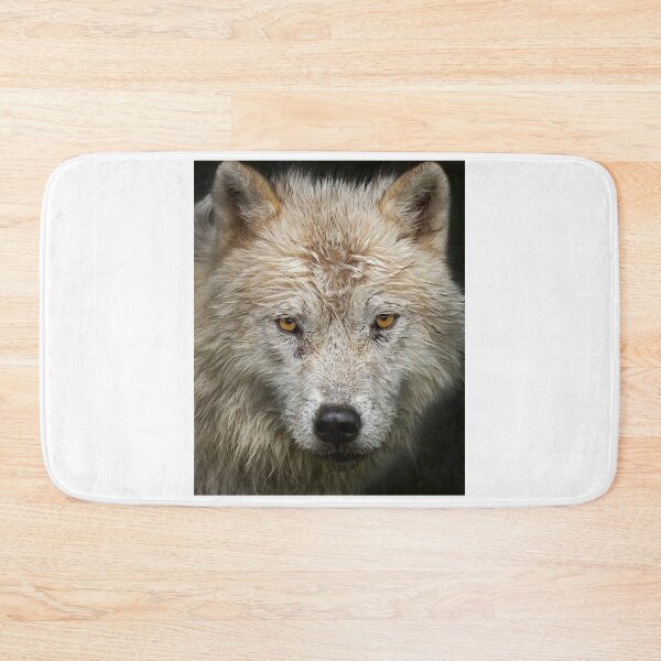 Item preview, Arctic wolf closeup designed and sold by James Cumming.