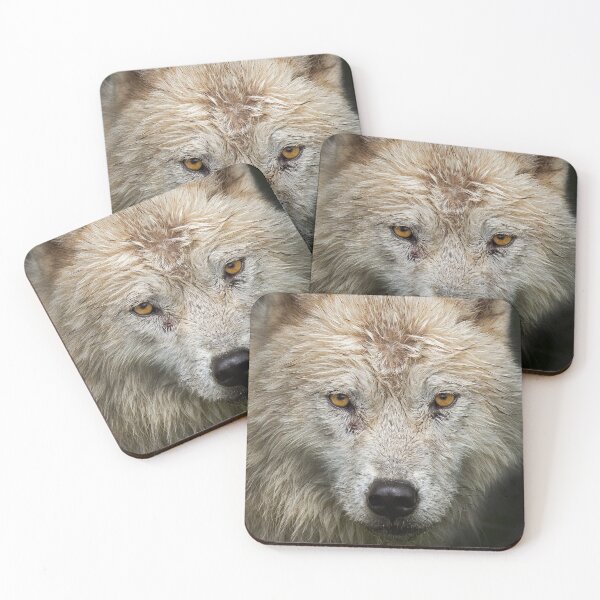 Item preview, Arctic Wolf designed and sold by James Cumming.