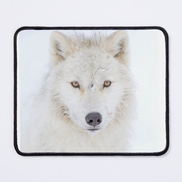 Item preview, Arctic Wolf designed and sold by James Cumming.
