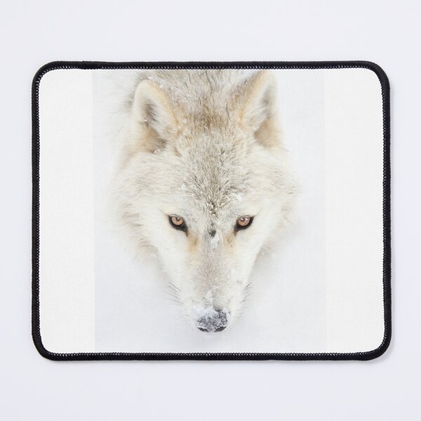 Item preview, Arctic Wolf headshot designed and sold by James Cumming.