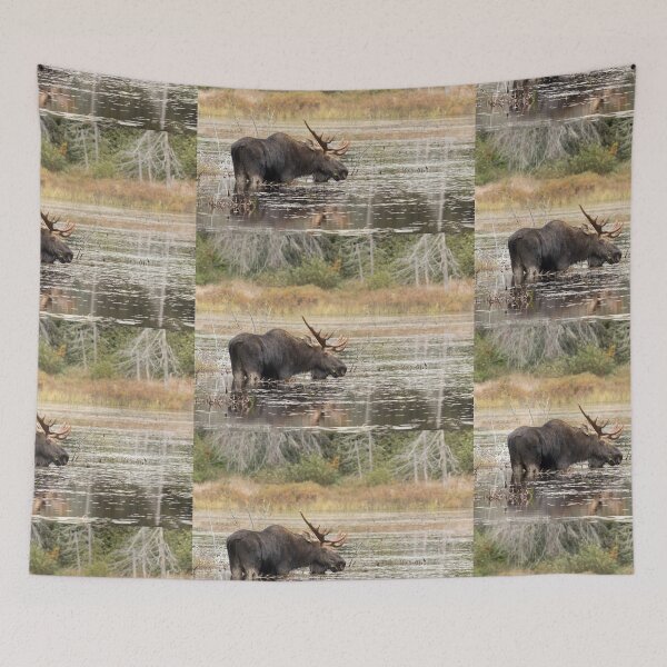 Item preview, Bull Moose, Algonquin Park designed and sold by James Cumming.