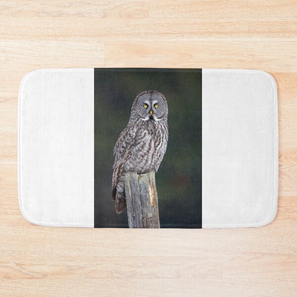 Item preview, Great Grey Owl on Post designed and sold by James Cumming.
