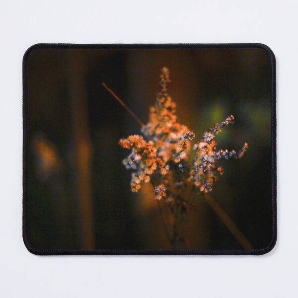 Item preview, Looking - A View designed and sold by Carl Gaynor.