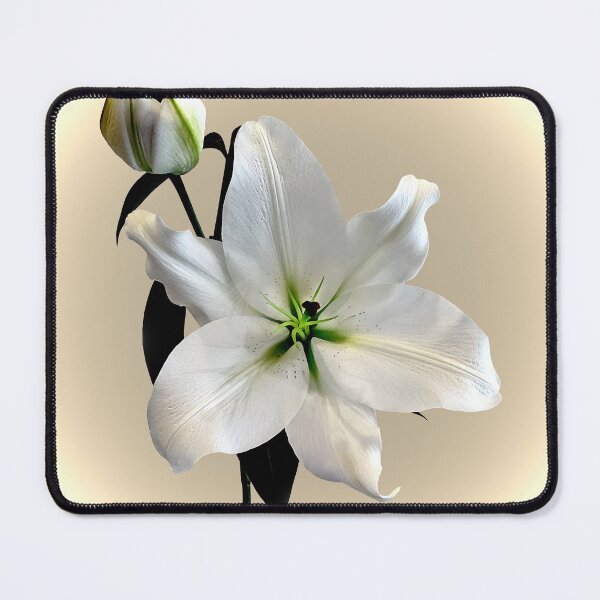 The beautiful majestic White Madonna Lily. Mouse Pad