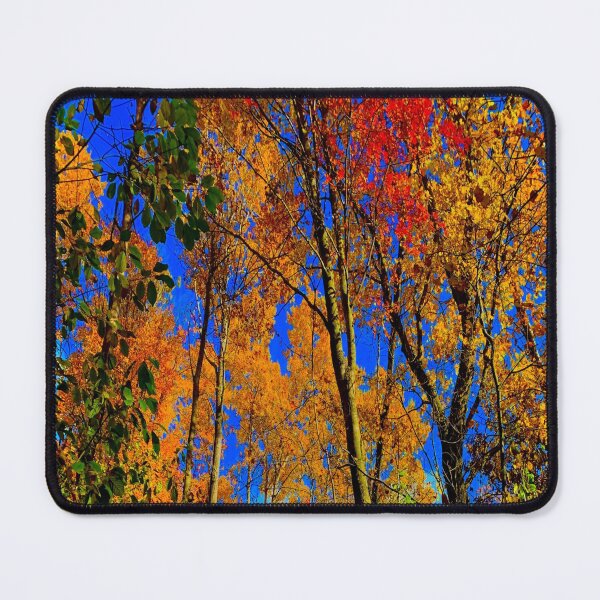 Item preview, Falling for these trees designed and sold by Mandypoolicious.