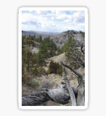 The Vastness Sticker