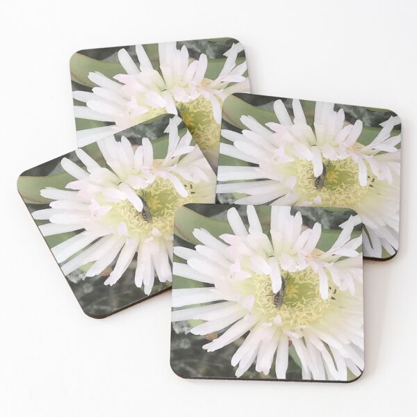 Item preview, White Western Australian Wild Flower designed and sold by slicksdesigns.