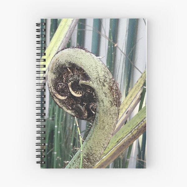 Item preview, Unfurling Tree Fern Fond designed and sold by slicksdesigns.