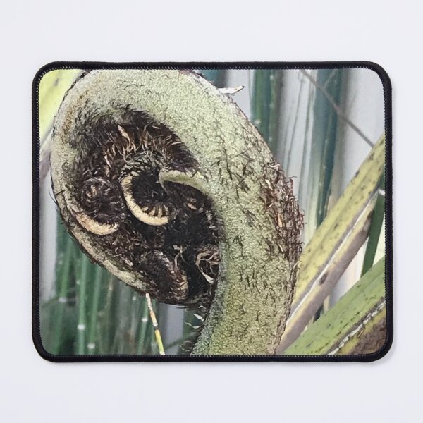 Item preview, Unfurling Tree Fern Fond designed and sold by slicksdesigns.