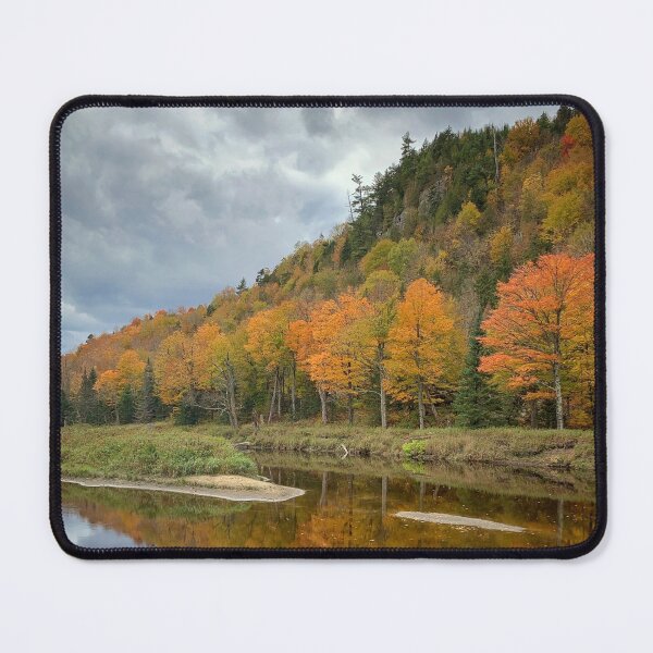 Artikelvorschau, Orange Herbstbäume, The Adirondacks, New York entworfen und verkauft von ExploreOutdoors.