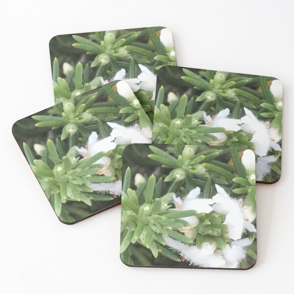 Item preview, White Western Australian Wildflower Succulent designed and sold by slicksdesigns.
