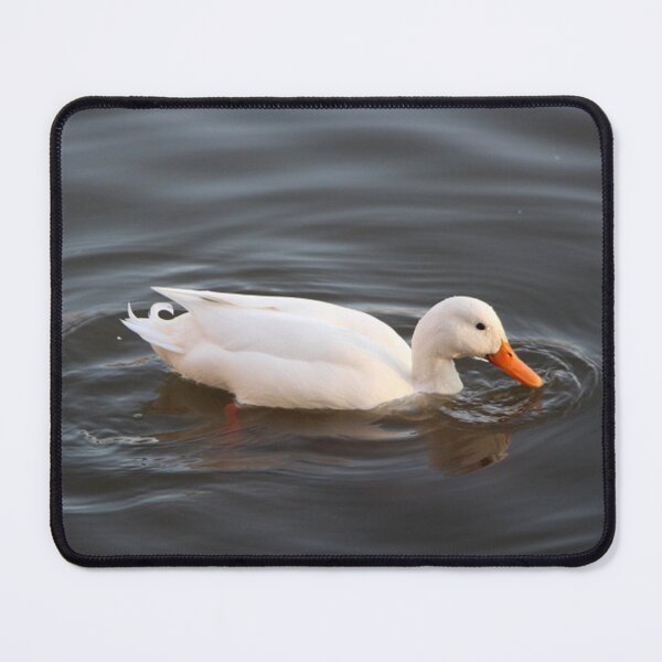 Item preview, White American Pekin Duck Swimming in a Blue Lake designed and sold by JariHawk.
