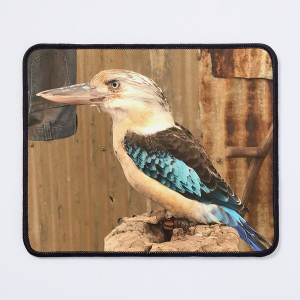 Item preview, Kookaburra native Australian King Fisher designed and sold by slicksdesigns.