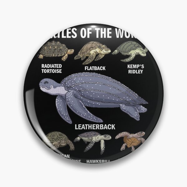 Item preview, Celebrate Diversity Tortoise Stuff Apparel Sea Turtle Of The World designed and sold by BaseStore.