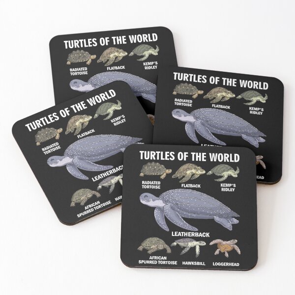 Item preview, Celebrate Diversity Tortoise Stuff Apparel Sea Turtle Of The World designed and sold by BaseStore.