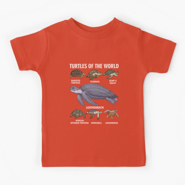 Celebrate Diversity Tortoise Stuff Apparel Sea Turtle Of The World Kids T Shirt for Sale by BaseStore Redbubble