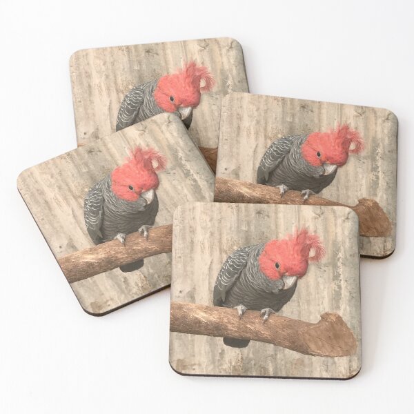 Item preview, Gang Gang Cockatoo Western Australian  designed and sold by slicksdesigns.