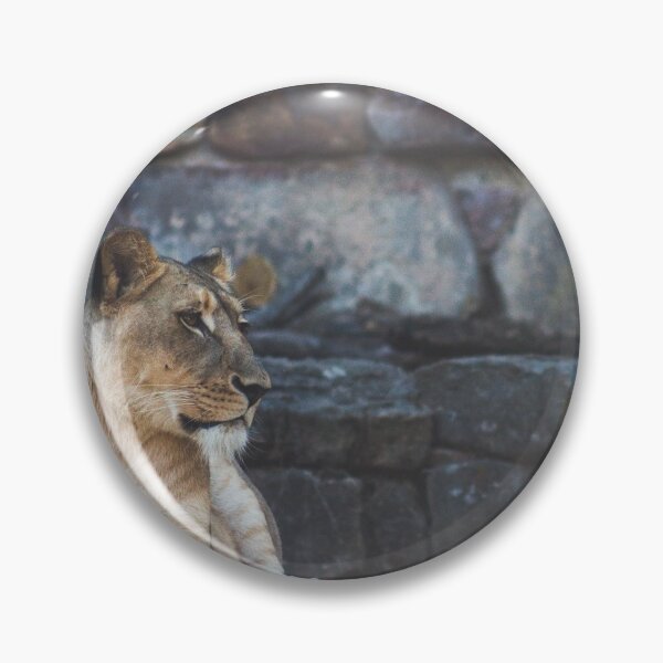Item preview, brown tiger sitting on gray and brown rock designed and sold by anil77kiran84.