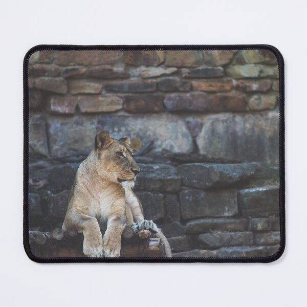 Item preview, brown tiger sitting on gray and brown rock designed and sold by anil77kiran84.