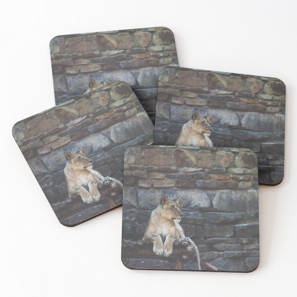 Item preview, brown tiger sitting on gray and brown rock designed and sold by anil77kiran84.
