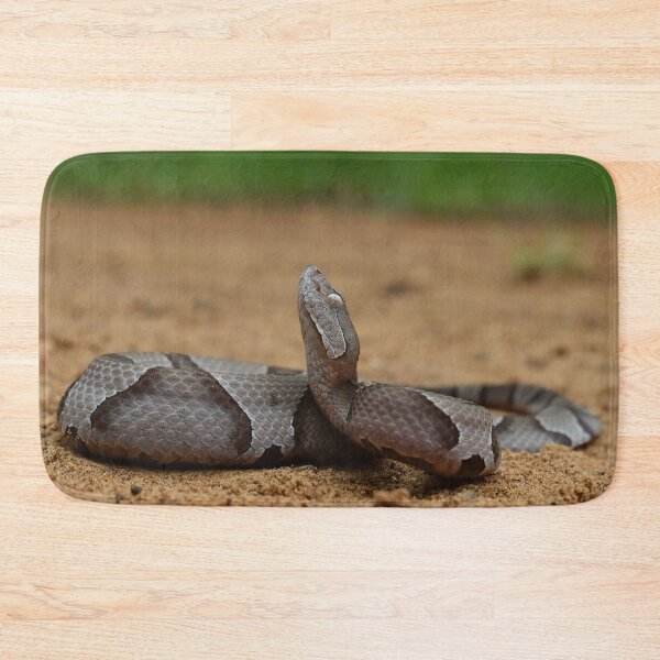Item preview, Eastern Copperhead Print designed and sold by Paul-Prints.