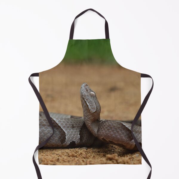 Item preview, Eastern Copperhead Print designed and sold by Paul-Prints.